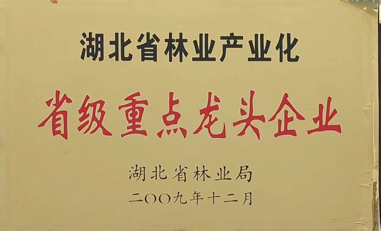 省林業(yè)產(chǎn)業(yè)化重點(diǎn)龍頭企業(yè)(2009.12).jpg 省林業(yè)產(chǎn)業(yè)化重點(diǎn)龍頭企業(yè)(2009.12).jpg