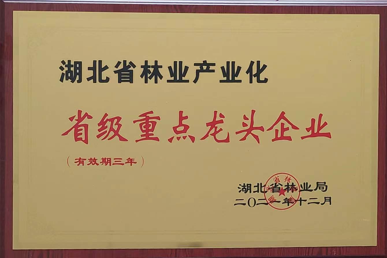 省林業(yè)產(chǎn)業(yè)化重點(diǎn)龍頭企業(yè)(2021.12).jpg 省林業(yè)產(chǎn)業(yè)化重點(diǎn)龍頭企業(yè)(2021.12).jpg